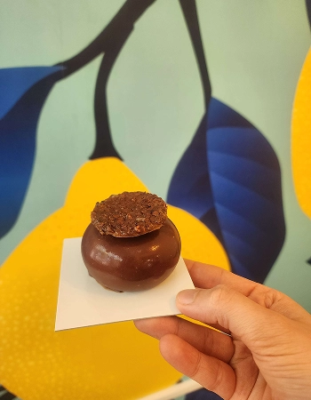 Choco-Cosmos